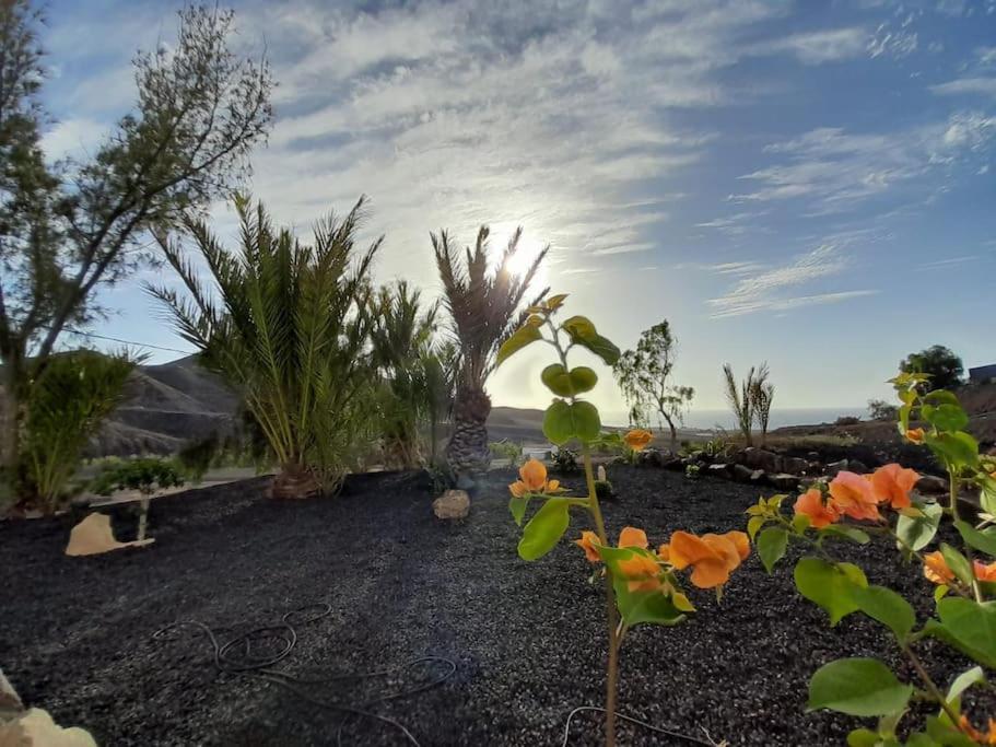 Casagrande Sunset II - Fuerteventura - Costa Calma Villa Pájara Buitenkant foto